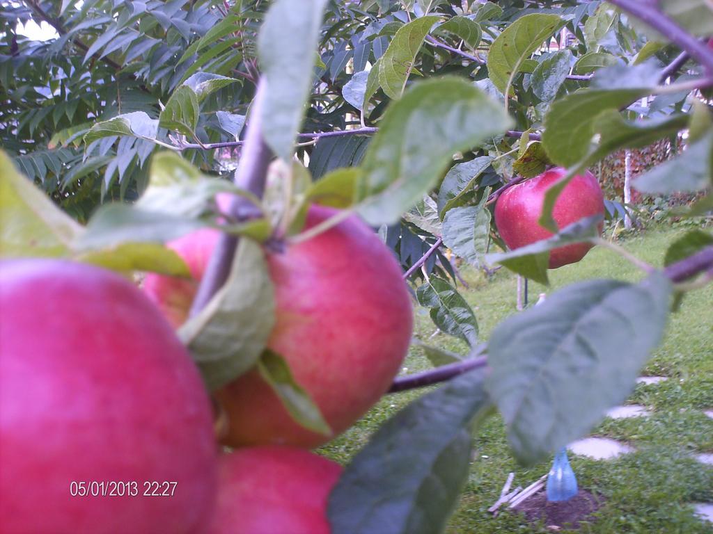 Pension Cote D'Amour Moieciu de Jos Ngoại thất bức ảnh